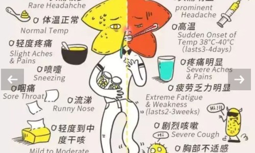 新西兰蜂胶香皂好用吗-新西兰最好的蜂胶牌子、新西兰蜂胶的功效与作用及食用方法 -新西兰蜂胶皂功效网