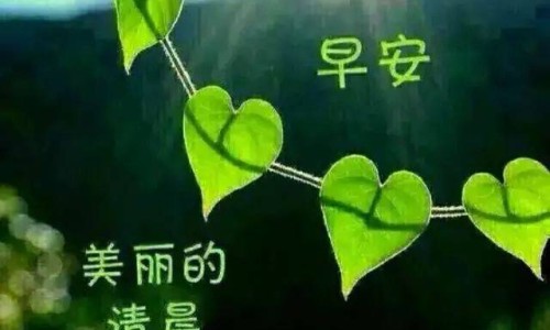新西兰蜂胶香皂好用吗-新西兰最好的蜂胶牌子、新西兰蜂胶的功效与作用及食用方法 -新西兰蜂胶皂功效网